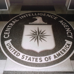 Effective Oversight of the CIA Depends on Congress | Tobias Gibson