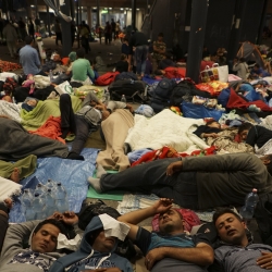 POLICY BRIEF: Mainstreaming Hate